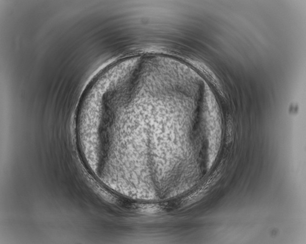 X0000096710798200802261628