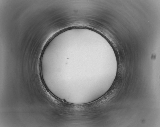 X0000096710799200802261628