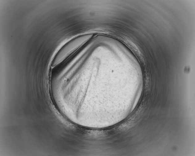 X0000096710800200802261628