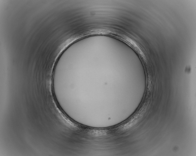 X0000096710802200802261628