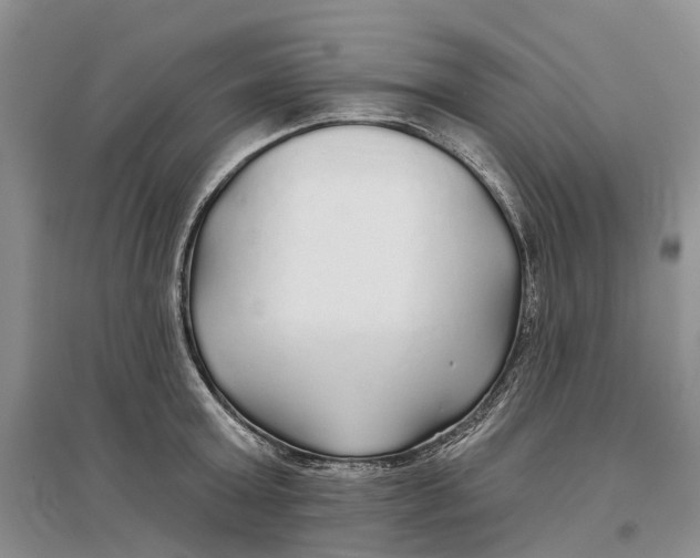 X0000096710803200802261628