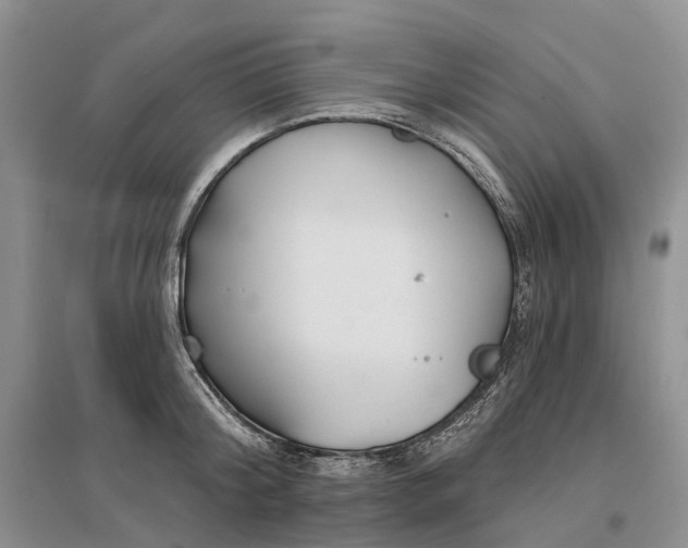 X0000096710804200802261628