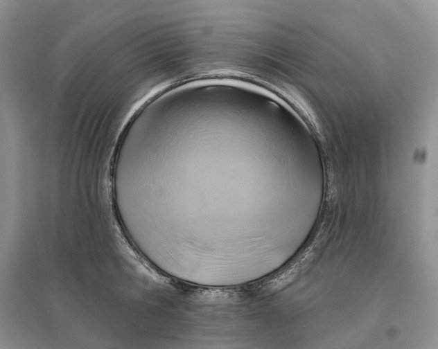 X0000096710806200802261628