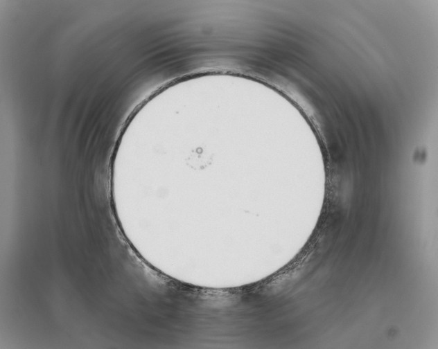 X0000096710807200802261628