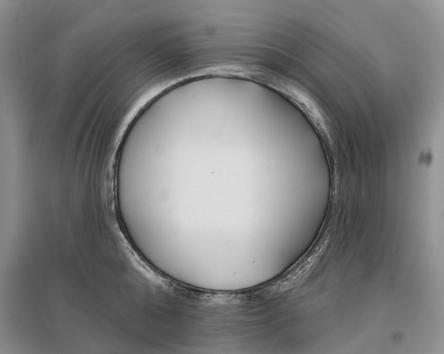 X0000096710808200802261628