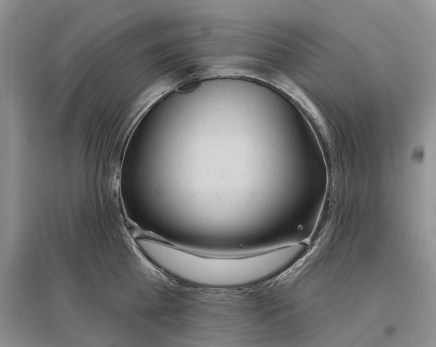 X0000096710809200802261628