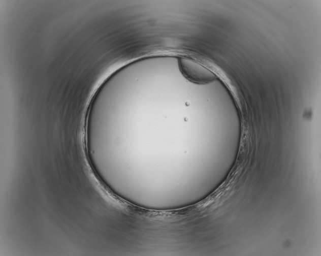 X0000096710811200802261628