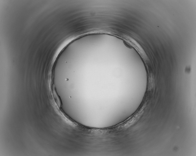 X0000096710812200802261628