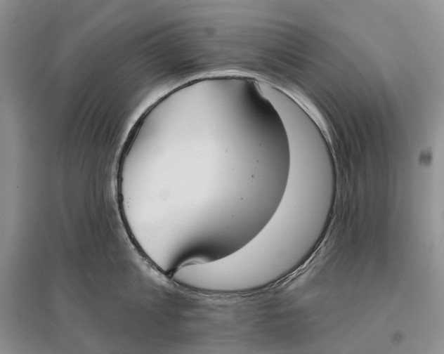 X0000096710813200802261628