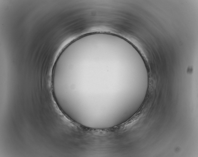 X0000096710815200802261628