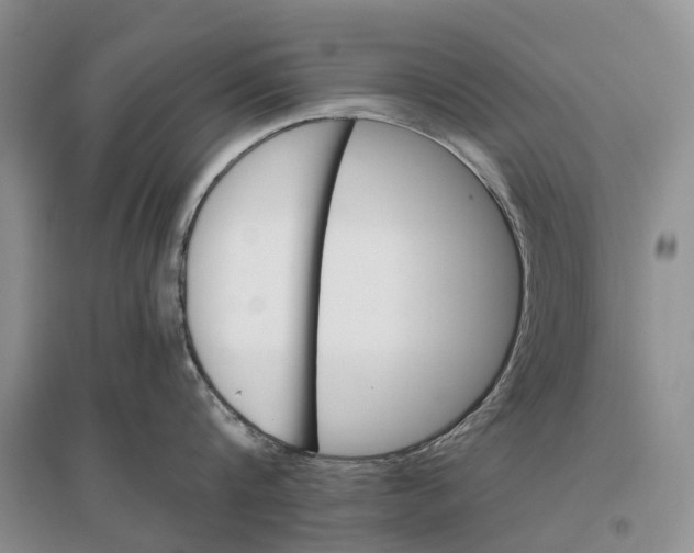 X0000096710816200802261627