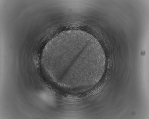 X0000096710818200802261627