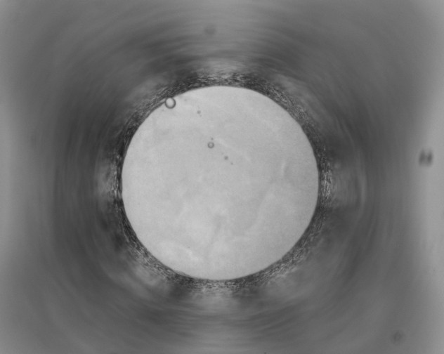 X0000096710820200802261627