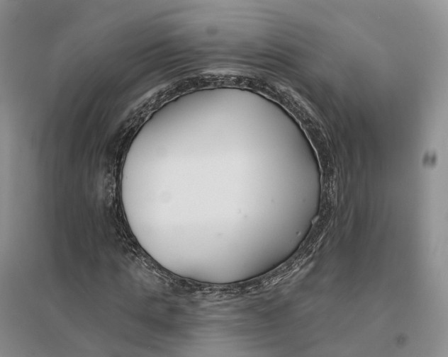 X0000096710821200802261627