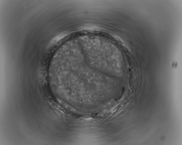 X0000096710822200802261627