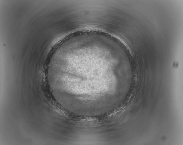 X0000096710823200802261627