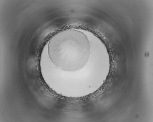 X0000096710824200802261627