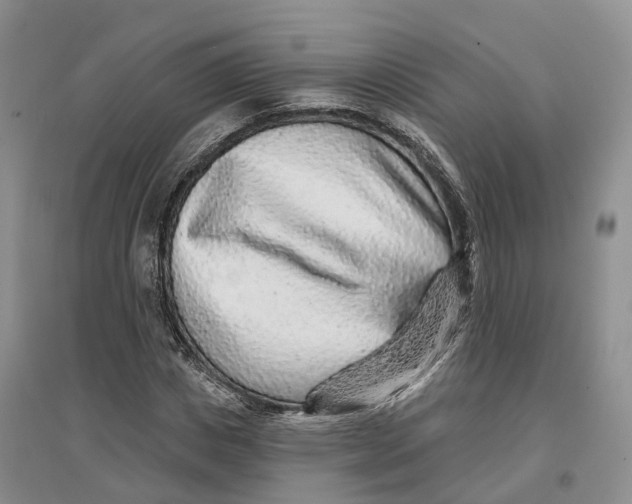 X0000096710825200802261627