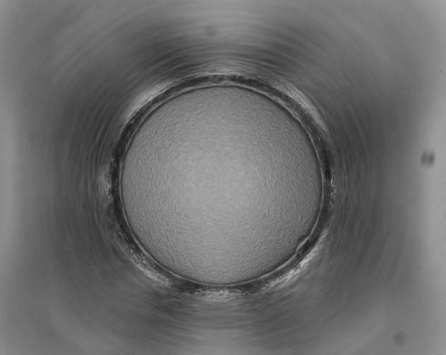 X0000096710826200802261627