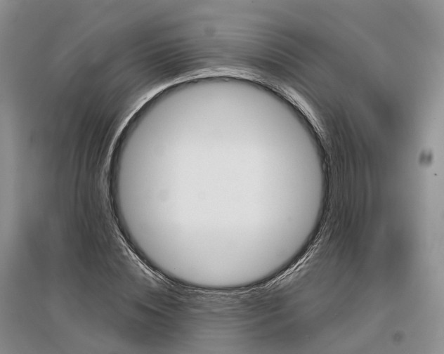 X0000096710828200802261627