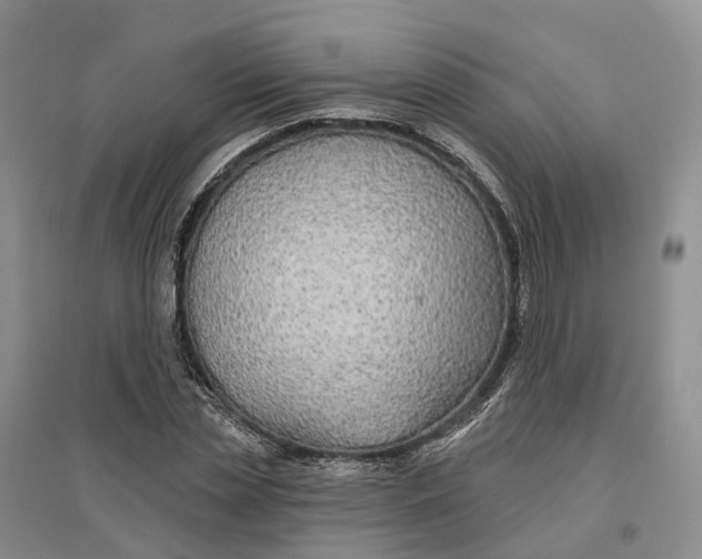 X0000096710829200802261627