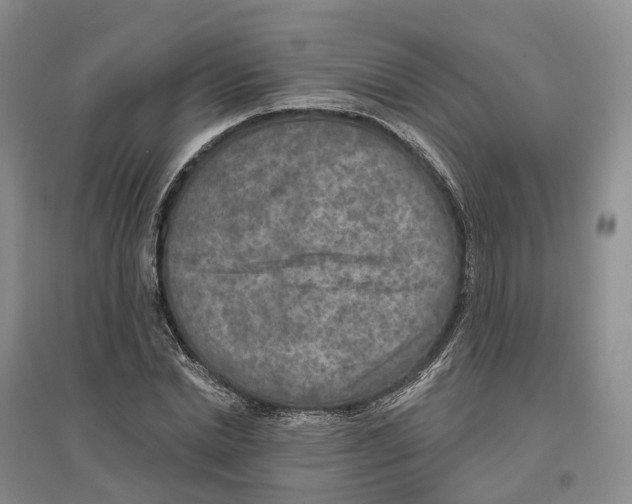 X0000096710830200802261627