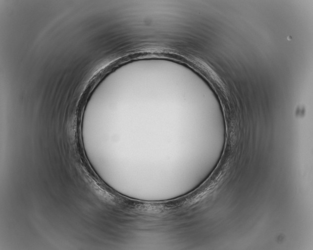 X0000096710831200802261627