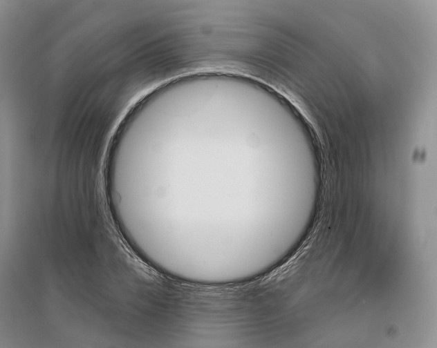 X0000096710832200802261627