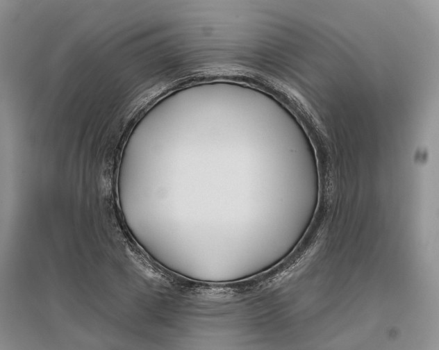 X0000096710833200802261627