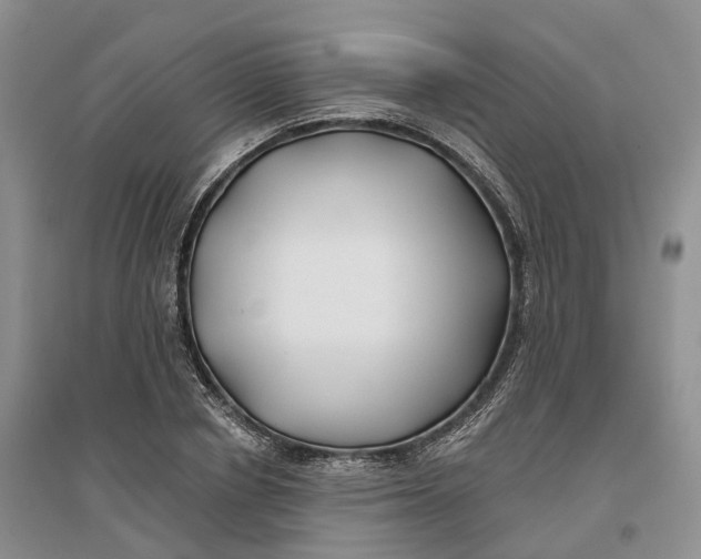 X0000096710834200802261627