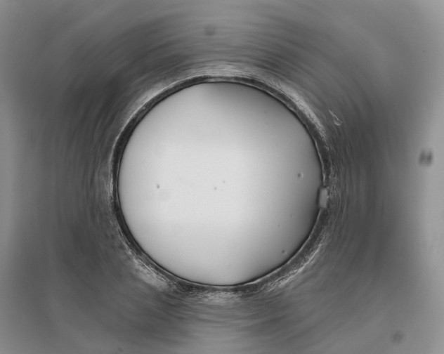 X0000096710837200802261627