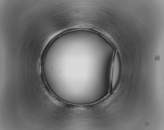 X0000096710838200802261627