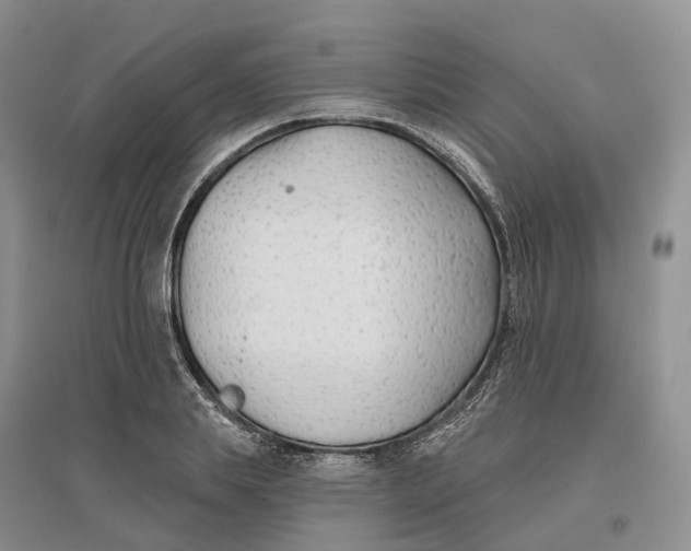 X0000096710839200802261627