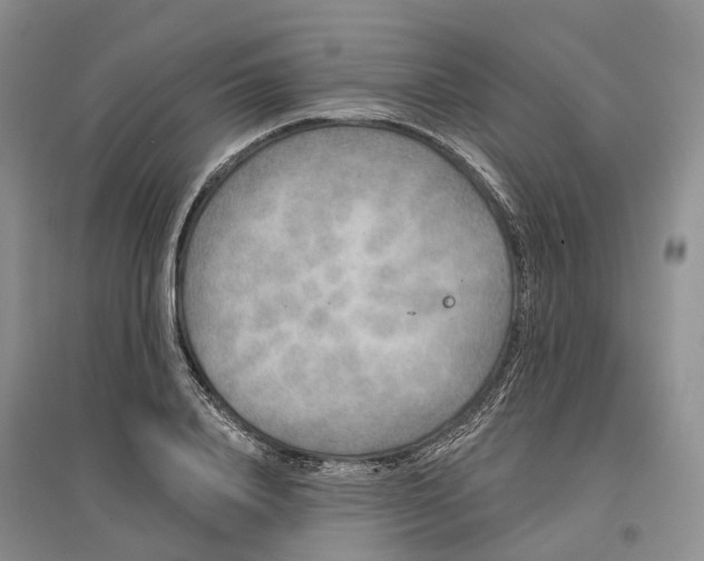 X0000096710840200802261627