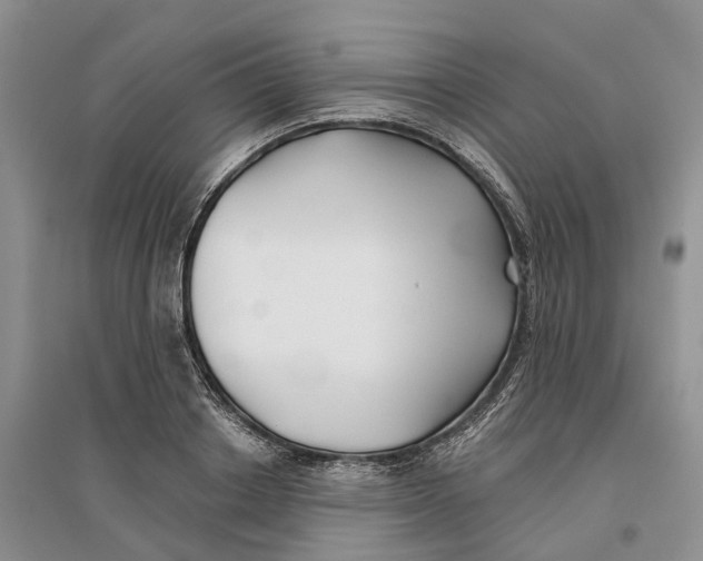 X0000096710842200802261627