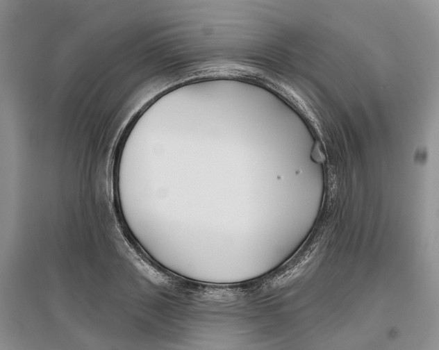 X0000096710843200802261627