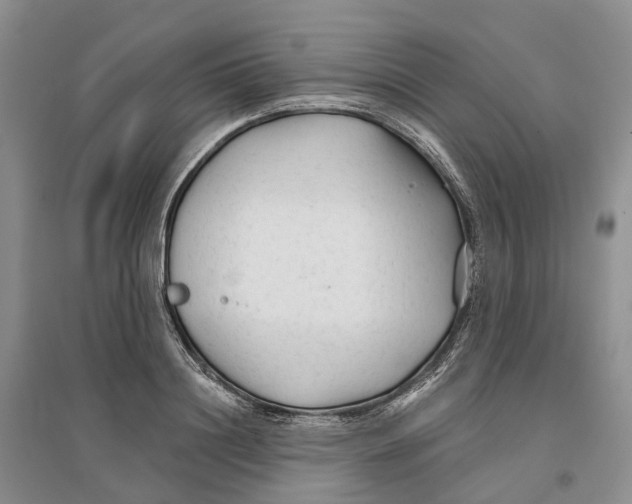 X0000096710844200802261627