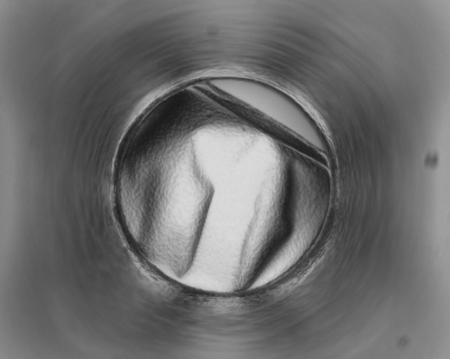 X0000096710845200802261627