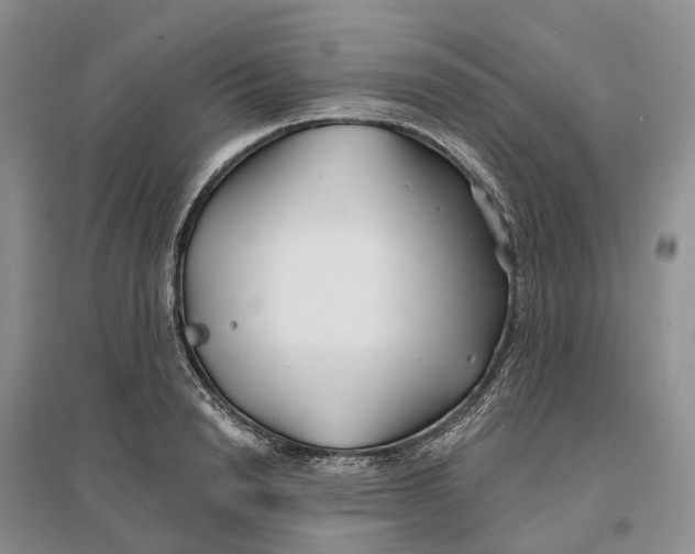 X0000096710846200802261627