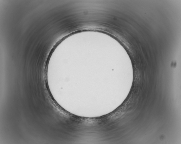 X0000096710848200802261627