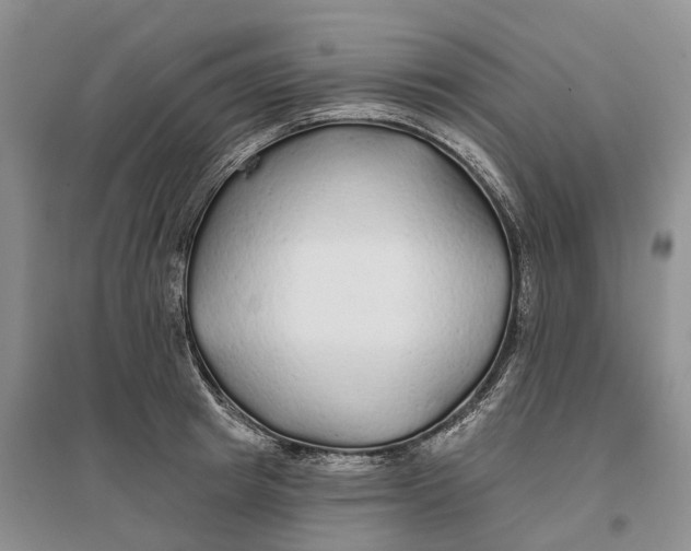 X0000096710849200802261627