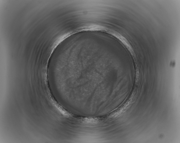 X0000096710850200802261627