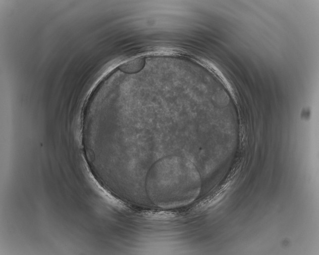 X0000096710851200802261627