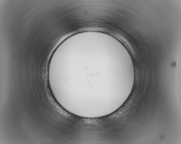 X0000096710852200802261627