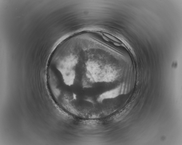 X0000096710853200802261627