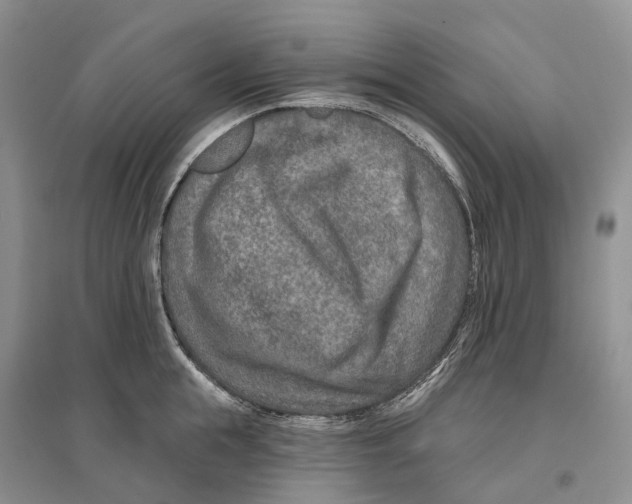 X0000096710855200802261627