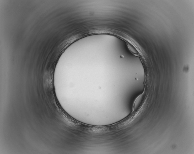 X0000096710857200802261627