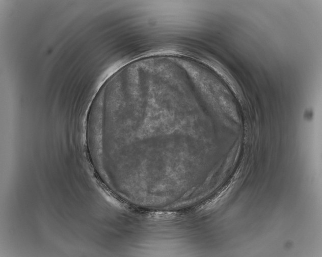 X0000096710858200802261627