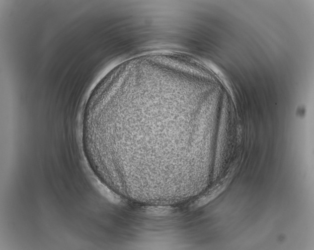 X0000096710859200802261627