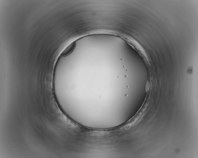 X0000096710860200802261627